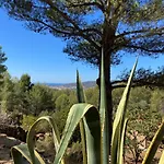 Luxueuse Avec Piscine Et Jacuzzi Sur Les Hauteurs De La Ciotat