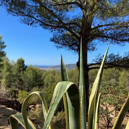 Avec Jacuzzi Sur Les Hauteurs De La Ciotat