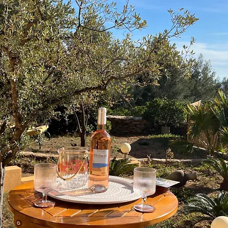 D Exception Avec Piscine Vue Et Jacuzzi Sur Les Hauteurs De La Ciotat Ceyreste