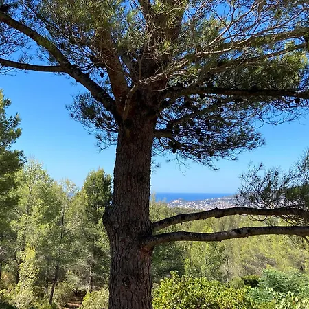 Luxueuse Avec Piscine Et Jacuzzi Sur Les Hauteurs De La Ciotat Villa *